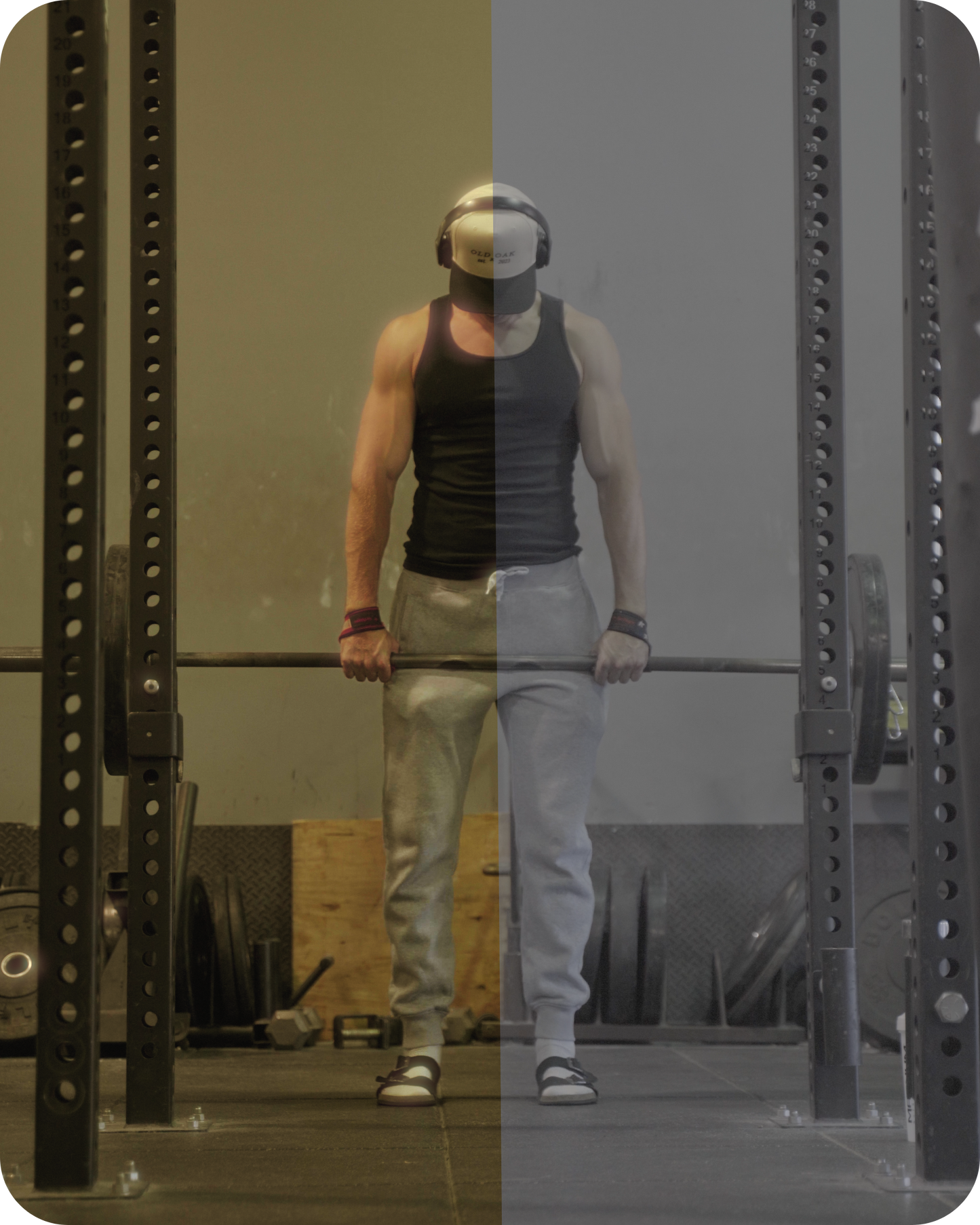 Cinematic Green Gym LUT