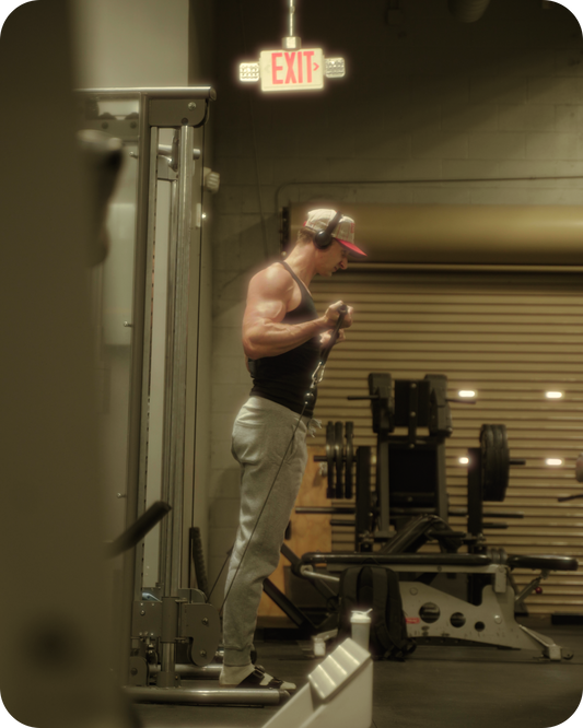 5 Pack Cinematic Gym LUTs