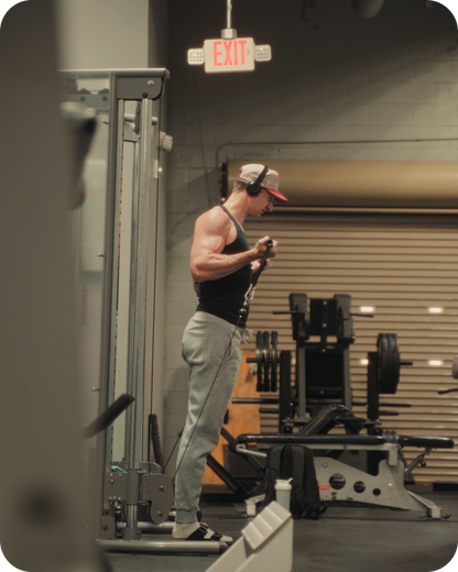 5 Pack Cinematic Gym LUTs