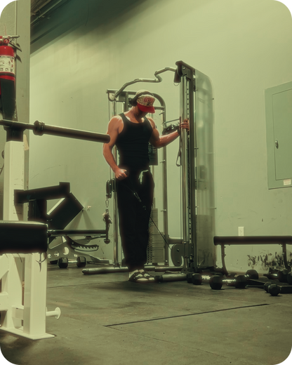 5 Pack iPhone Cinematic Gym LUTs