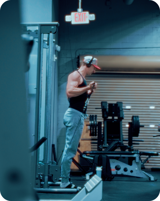 5 Pack Cinematic Gym LUTs